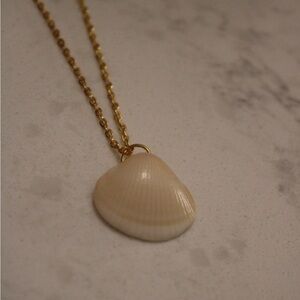Gold Chained Real Shell Pendant Necklace